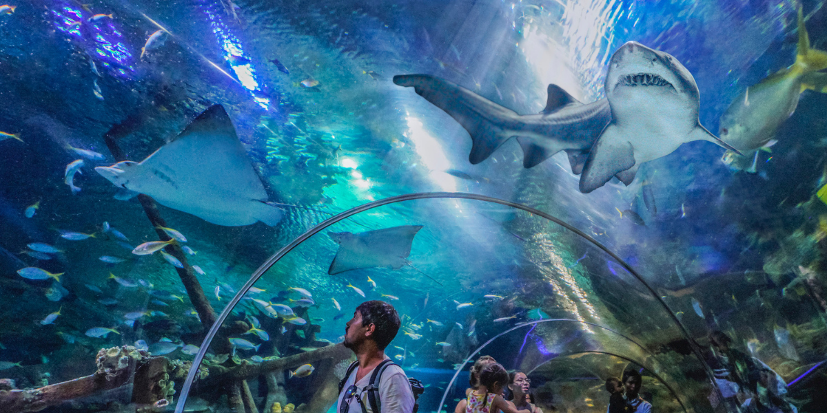 Aquaria KLCC kehilangan pendapatan bulanan sebanyak RM4.75 juta