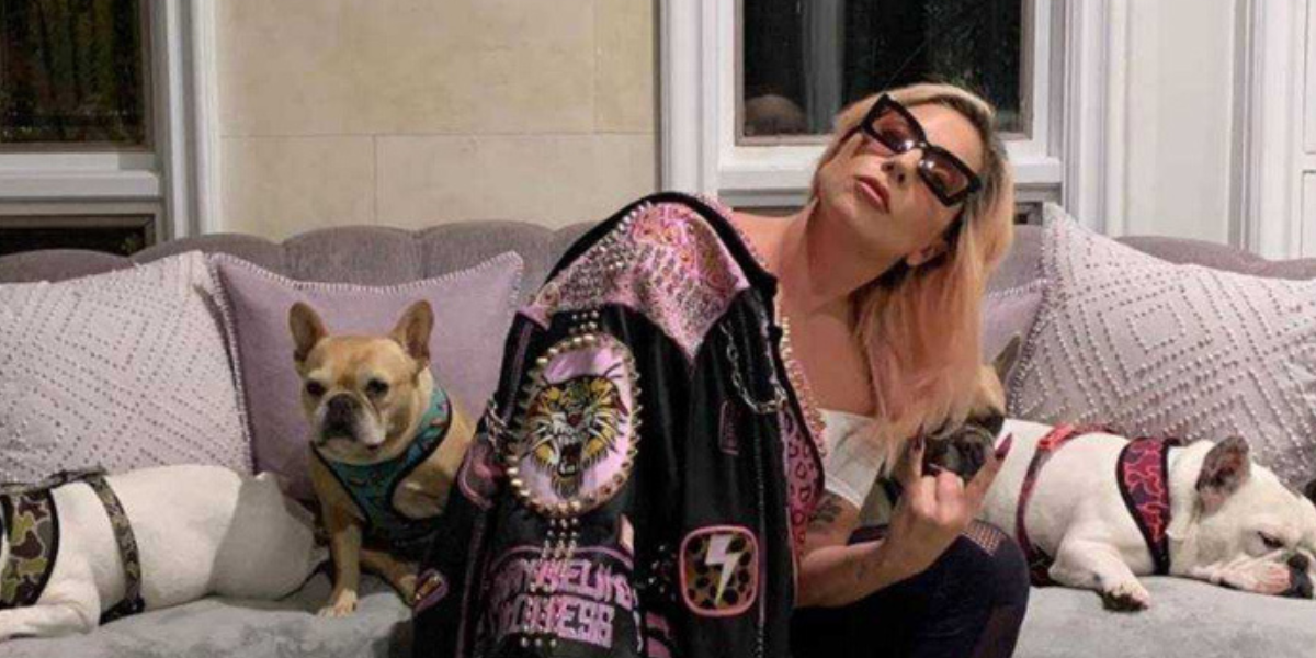 Perompak anjing Lady Gaga dijatuhi hukuman penjara empat tahun di AS