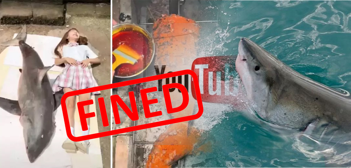 Vlogger Makanan Cina Ditampar Denda RM78,000 Kerana Makan, Memasak Jerung
