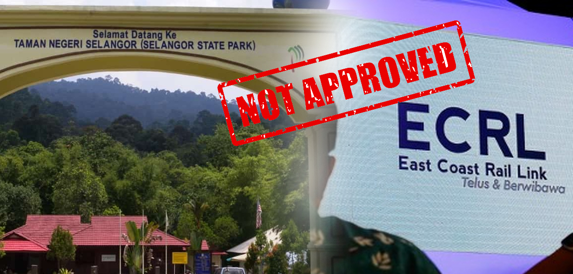 MB berkata pembersihan tanah di Taman Negeri Selangor dikaitkan dengan pemaju ECRL, dilakukan ‘tanpa kelulusan’