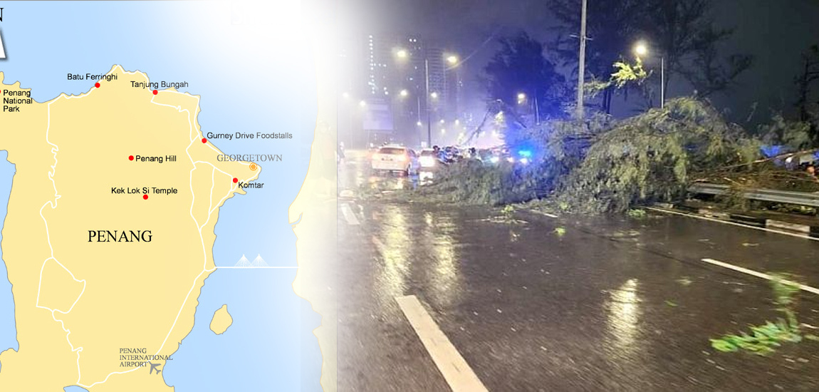 Pokok Tumbang Menyebabkan Kecelakaan Yang Tragis di Lebuh Raya Tun Dr Lim Chong Eu