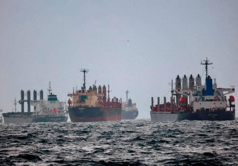 10 Fakta Mengenai Inisiatif Perjanjian Bijirin Laut Hitam, Keselamatan Makanan Global