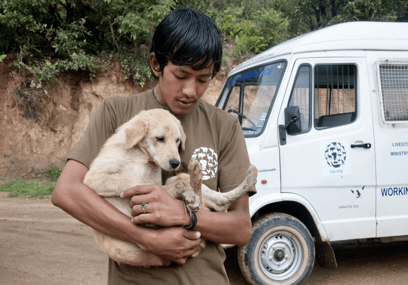 Bhutan Negara Pertama Berjaya Mensteril & Memvaksin Semua Anjing Jalanan