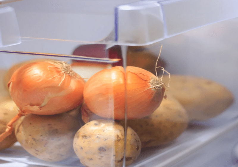4 Makanan yang Toksik Jika Disimpan Dalam Peti Sejuk – Pakar Kesihatan