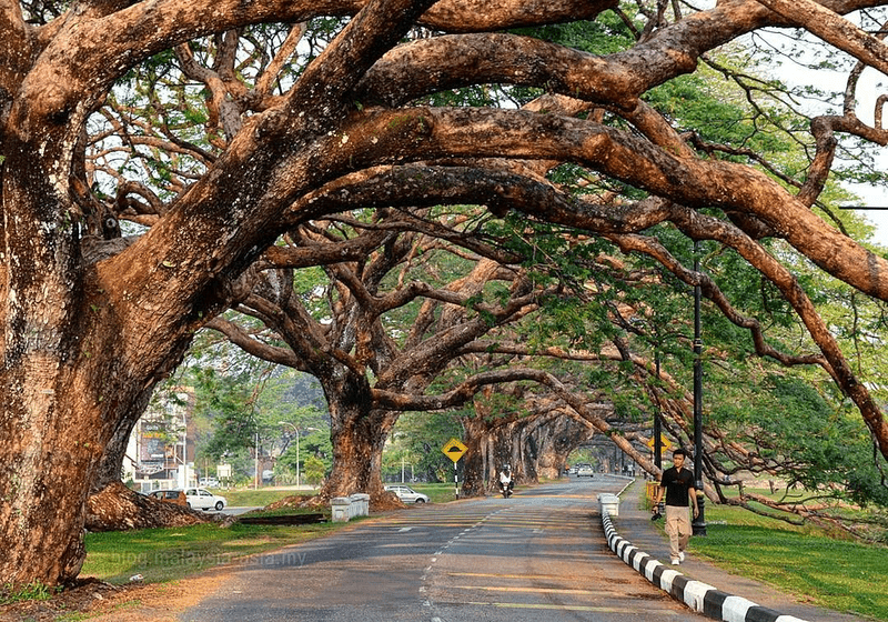7 Tempat Menarik di Taiping Yang Anda Boleh Kunjungi