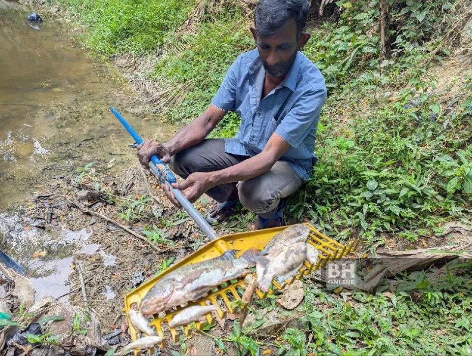 Pencemaran Sungai Air Terjun Ganggu Penduduk Sekitar Jalan York