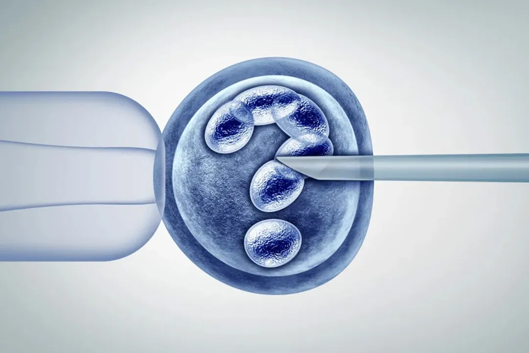 Proses Fertilisasi In Vitro: Apa Yang Anda Perlu Tahu