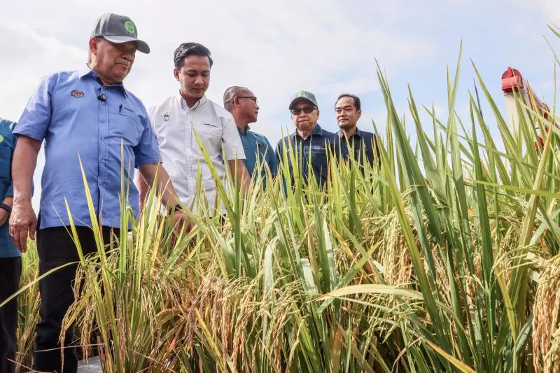 Bekalan Makanan Malaysia Mencukupi, Rakyat Diminta Tidak Panik Menjelang Aidilfitri