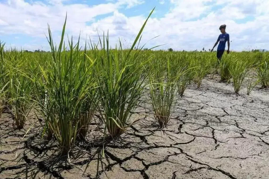 Krisis Air Ketika Cuaca Panas Melampau: Apa Yang Anda Perlu Buat