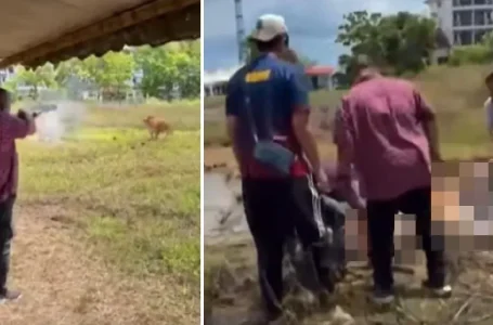 tembak lembu korban