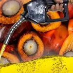 Biodiesel B15