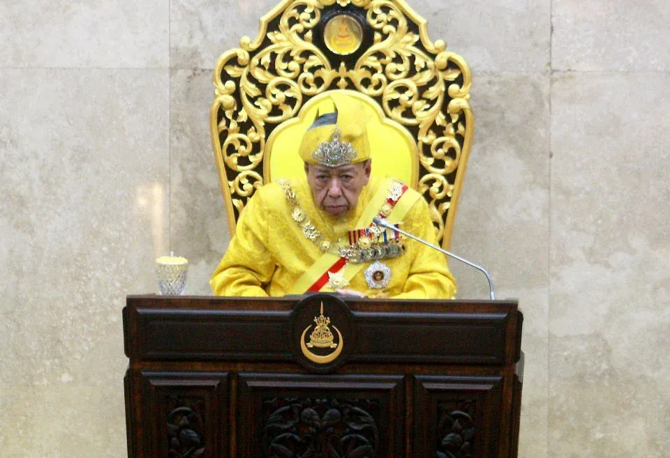 Sultan Selangor Kekal Larang Penternakan Babi Di Negeri Ini