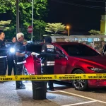 jenis senjata tajam tikam ibu tunggal