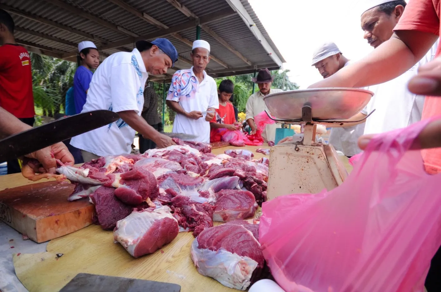 Daging Korban Untuk Siapa? Ini Penjelasan Lengkap Hukum Agihan Korban