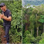 apa nak buat kalau sesat dalam hutan