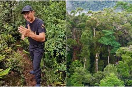 apa nak buat kalau sesat dalam hutan