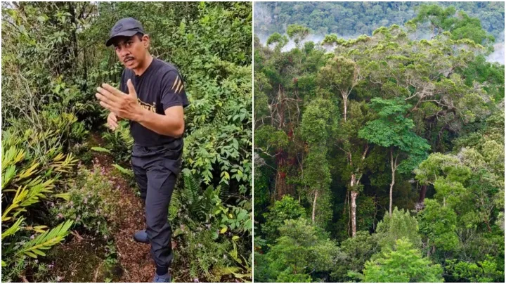 Ini Tips Apa Nak Buat Kalau Sesat Dalam Hutan Seorang Diri