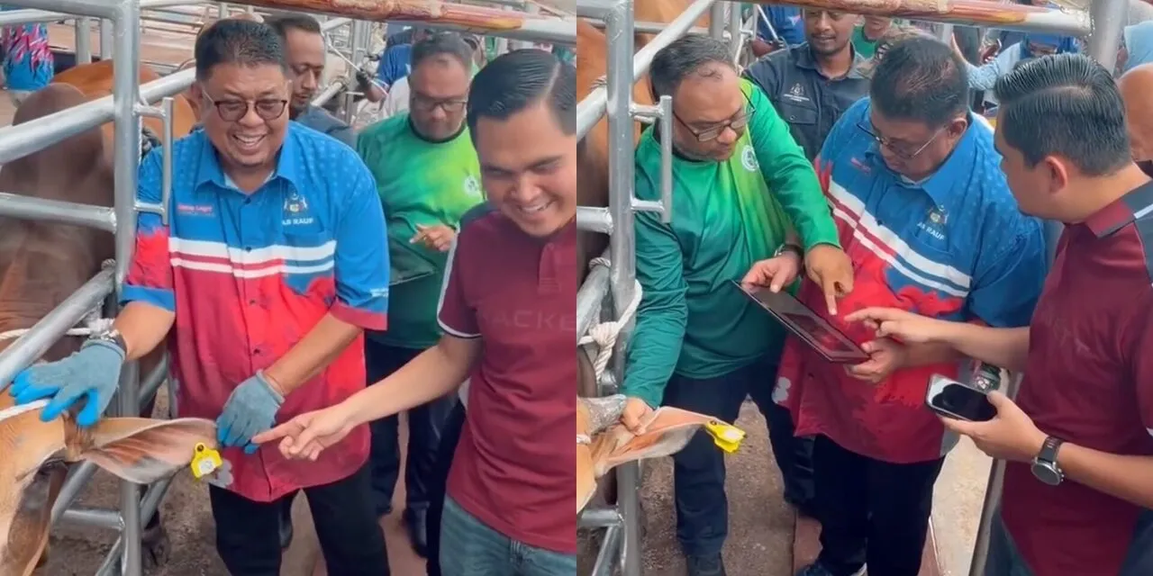 Melaka Wajibkan Sistem Identiti Digital Untuk Haiwan Ternakan