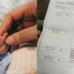 daftar kelahiran anak di JPN