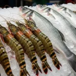 import udang Thailand