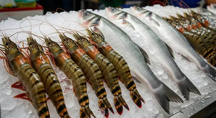 Sekatan Sementara Import Udang Thailand Masih Dalam Penilaian Kerajaan