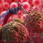 Kes malaria