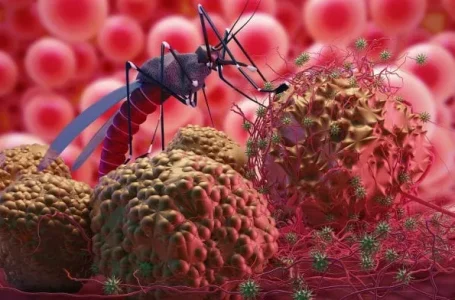 Kes malaria