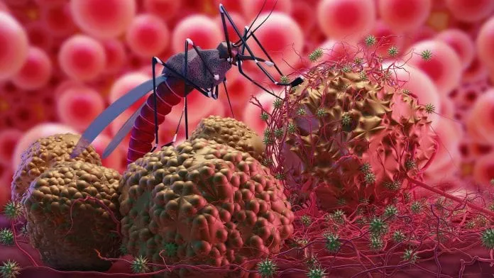 Kes Malaria Dalam Kalangan Pendatang Asing Bertambah di Terengganu