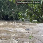 kepala air di sedim