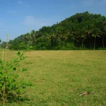 negeri tanah rizab Melayu paling tinggi