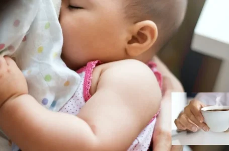 ibu menyusu minum kopi
