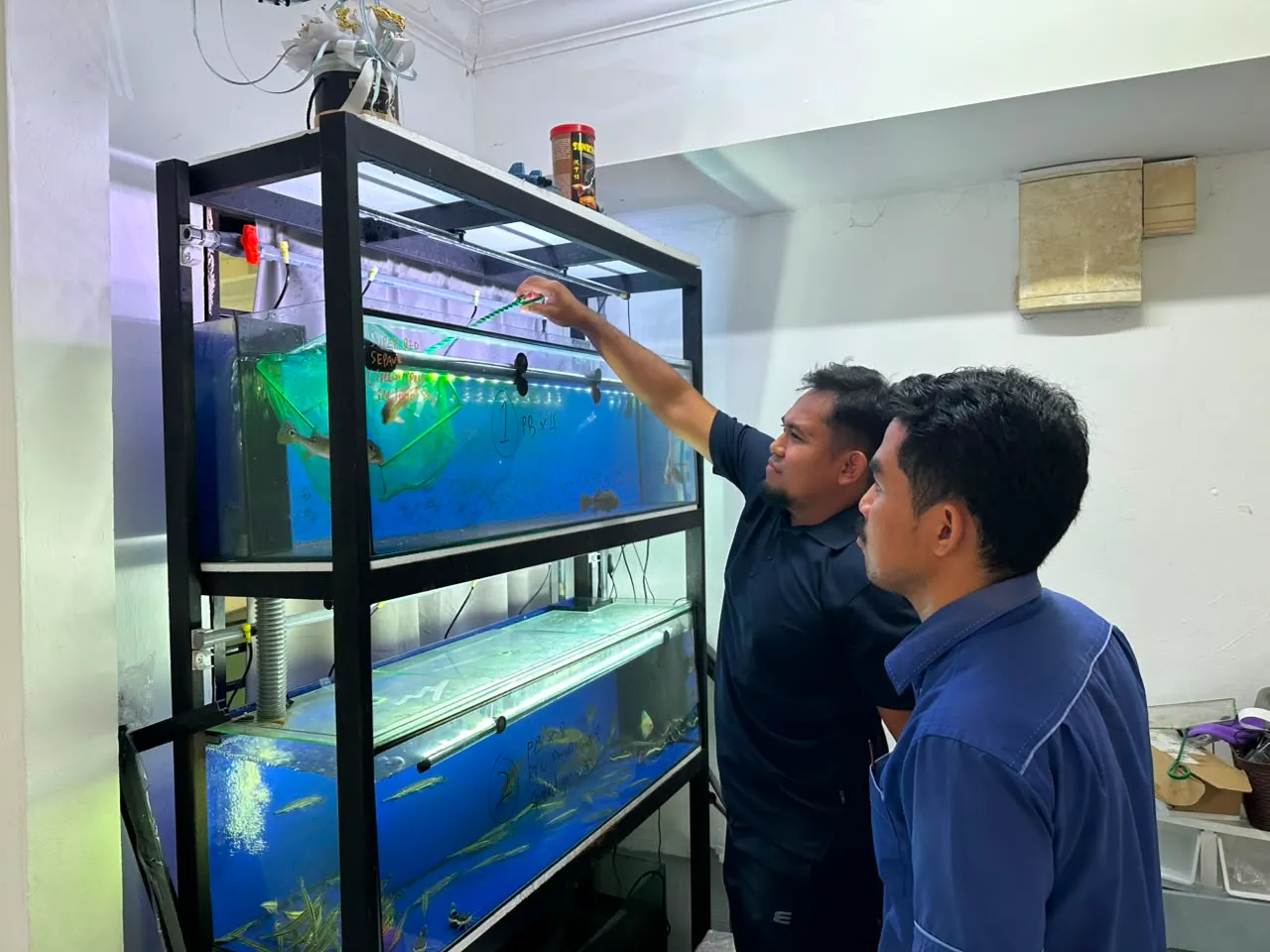 92 Ikan Disita Selepas Kantoi Promosi Ikan Larangan di TikTok