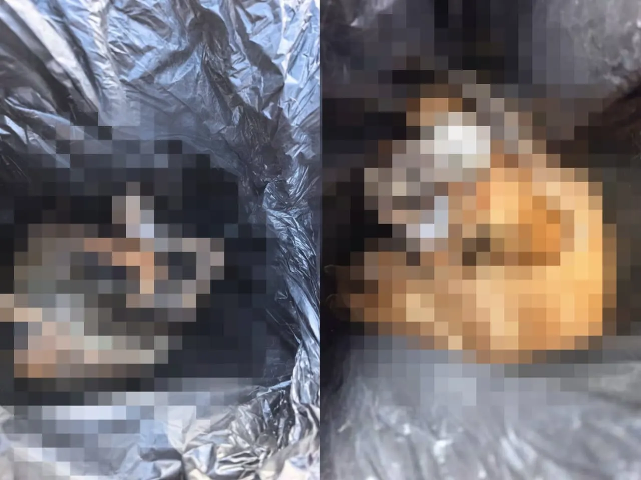 Puluhan Bangkai Anjing Dalam Tong Sampah Cetus Kemarahan Orang Ramai