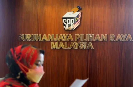 semak daftar pemilih tambahan