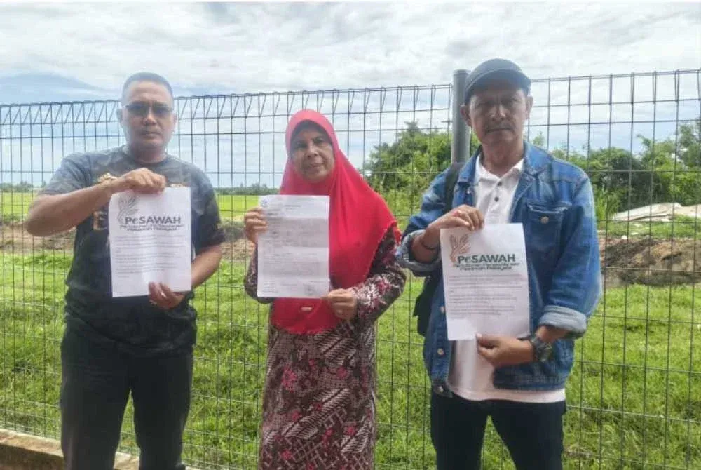 Pesawah Buat Laporan Polis, Tuntut Ganti Rugi Baja Padi Lewat