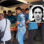 serangan harimau belang