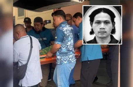serangan harimau belang