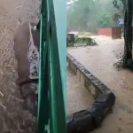 Zoo Negara banjir