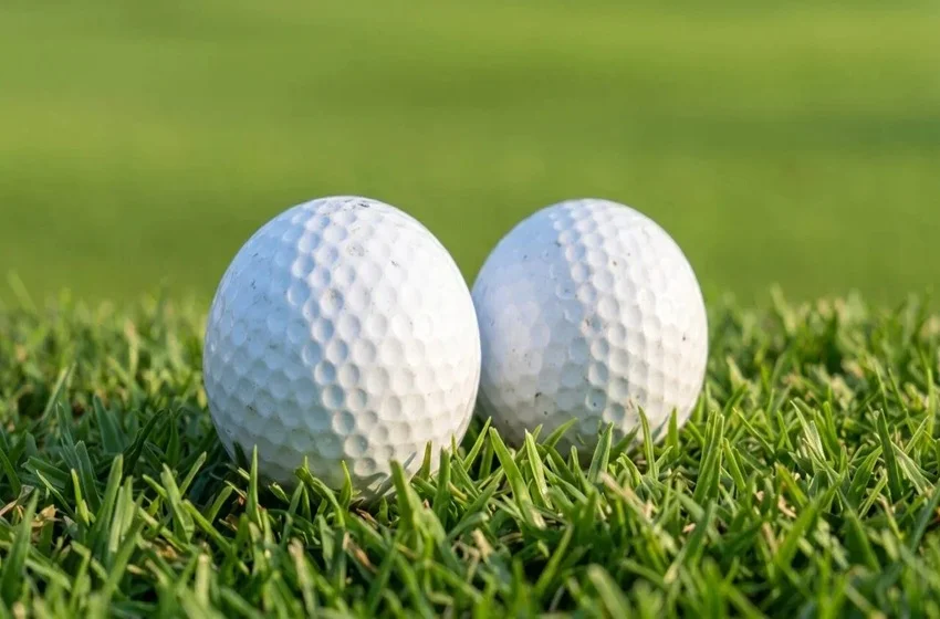 7 Tahun Hadap Gangguan Bola Golf Sesat, Pesara Menang RM100,000