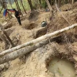 melombong emas dalam Hutan Simpan