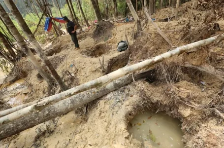 melombong emas dalam Hutan Simpan