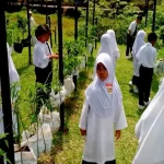 aktiviti luar bilik darjah