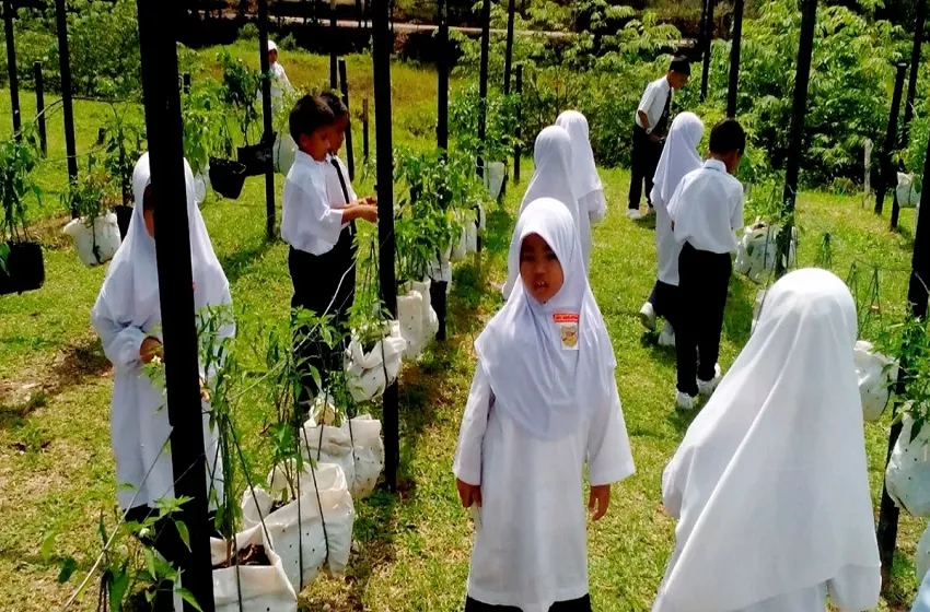 Aktiviti luar bilik darjah dihenti jika IPU lebih 100