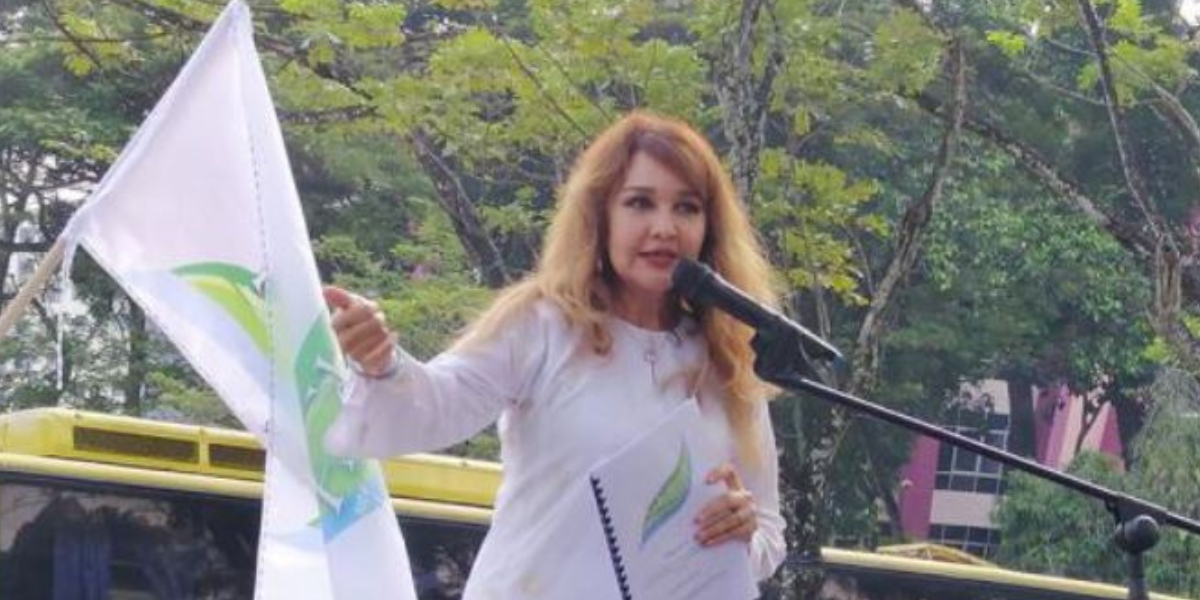 Laporan: Kerajaan Pahang saman aktivis alam sekitar kerana memfitnah isu pembalakan