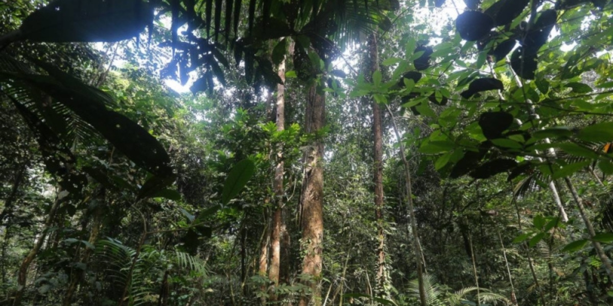 Penggera dibunyikan apabila projek lombong Langkawi mengeksploitasi kelemahan untuk mengelakkan penelitian EIA