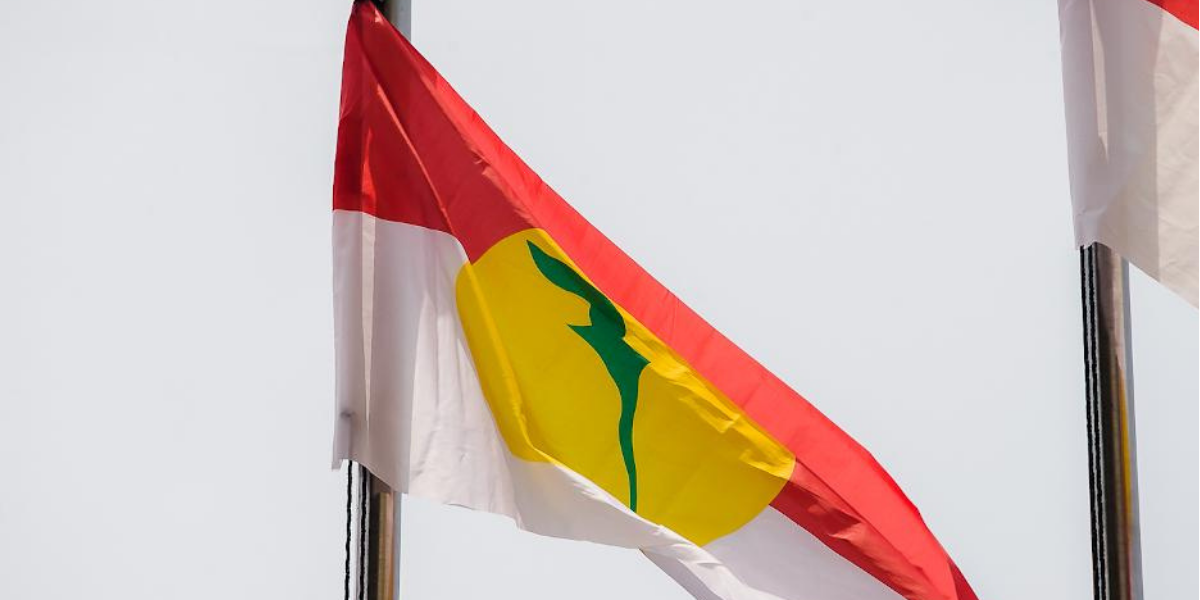 Laporan: Umno mungkin menyaman Pendaftar Pertubuhan jika tawaran untuk menangguhkan pengundian dalaman ditolak