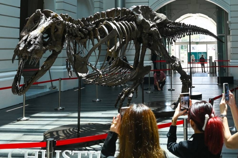 T-rex dipamerkan di Singapura apabila pakar mengecam lelongan yang ‘memudaratkan’