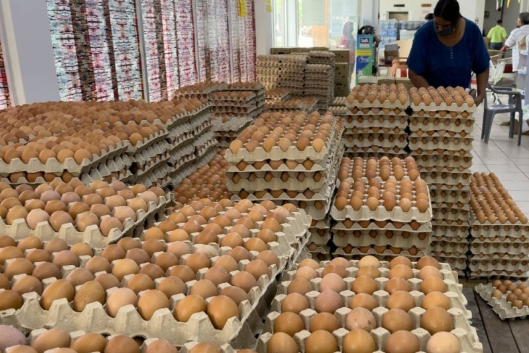 Lebih RM500,000 Dikeluarkan kepada Ayam, Pengeluar Telur, Pemborong dan Peruncit