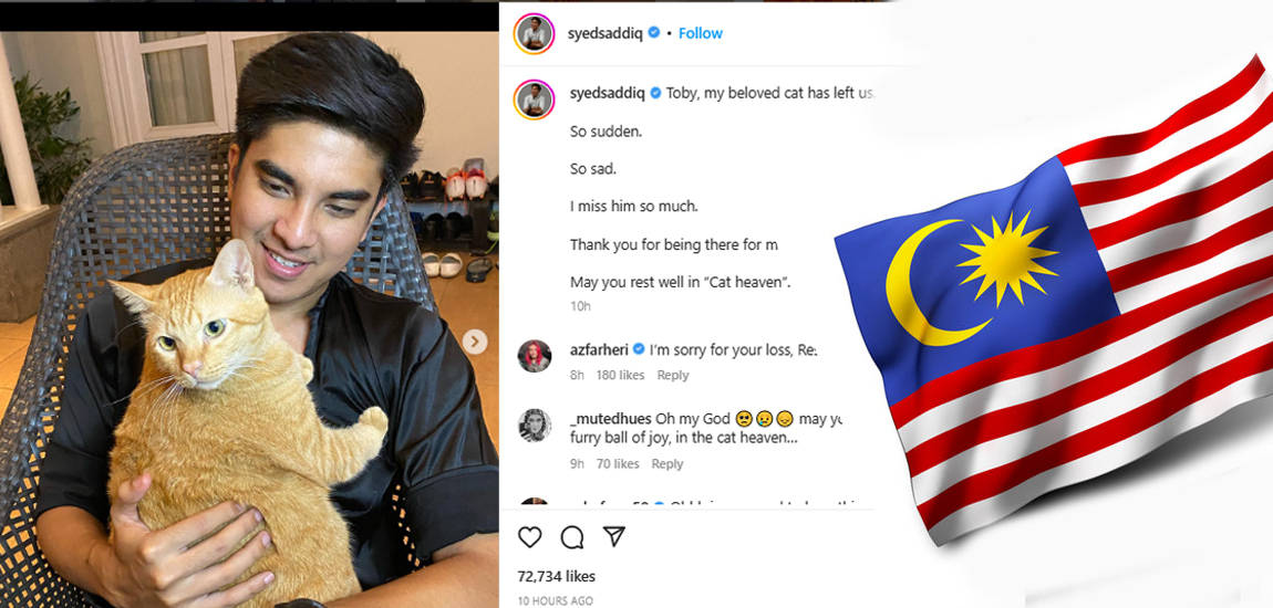 Cat Toby Meninggal Dunia, Syed Saddiq mengucapkan terima kasih kepada Feline atas Sokongannya