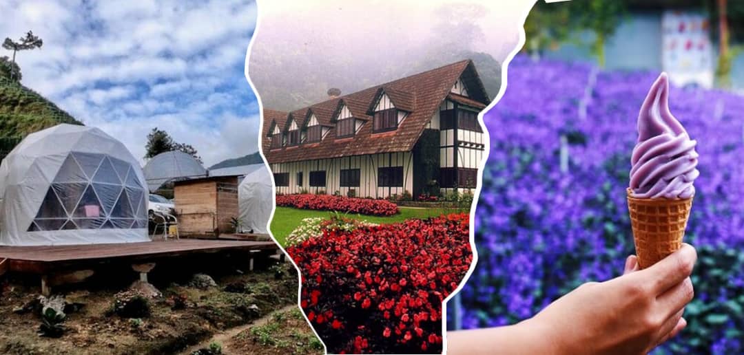 Tak Tahu Nak Pilih Tempat Yang Best? Ini 14 Tempat Menarik Cameron Highland Wajib Anda Pergi!